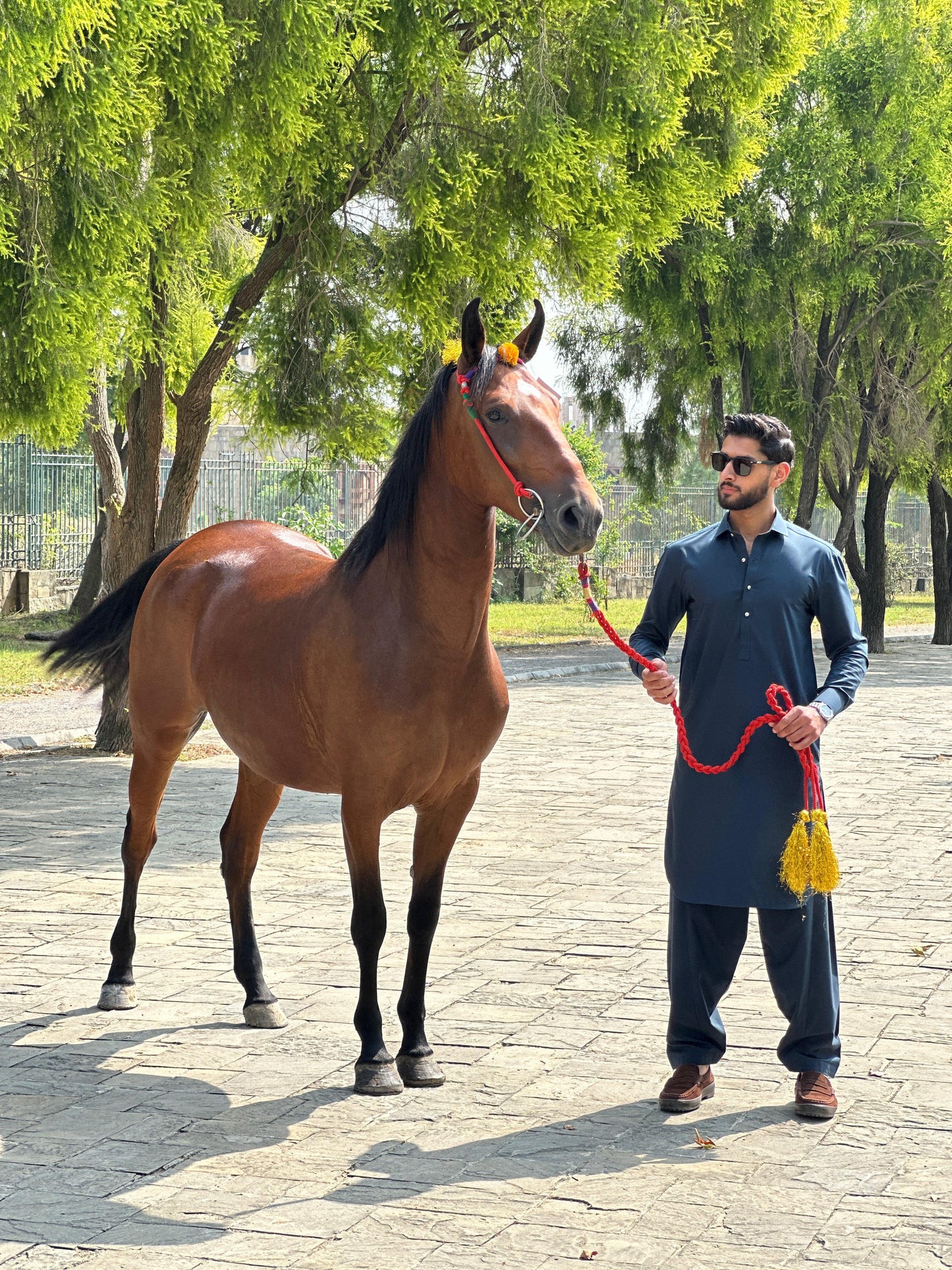 QILA-E-SULTAN - SHALWAR KAMEEZ